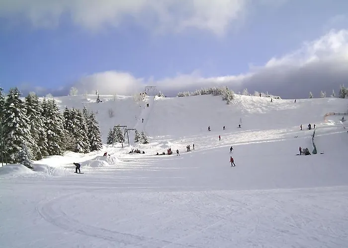 Holiday home Sparrow In The House Tanneneck *